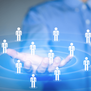 Beecommerce Instagram Ads Trafego